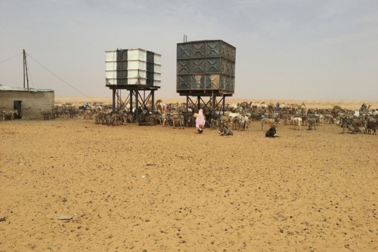 صور من مدينة المالحة ـ المصدر الجزيرة نت