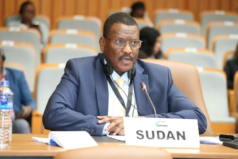 تفاصيل جلسة أفريقية حقوقية "ساخنة" بشأن السودان 2 مندوب السوداان رفض مساواة القوات المسلحة السودانية وهو جيش وطني يخضع للدولة بميليشيا متمردة (2)