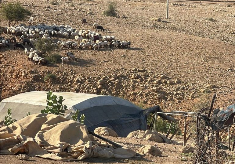 من دروس النكبة.. هكذا يواجه فلسطينيون محاولات تهجيرهم بالضفة 2 1 - فلسطين-- أريحا- تجمع شلال العوجا- مستوطن يرعى أغنامه بين المساكن الفلسطينية - أيار 2025 (الجزيرة نت)