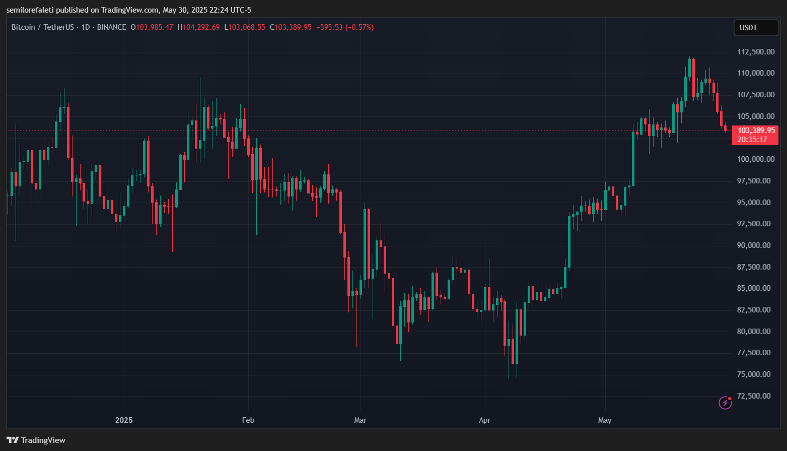 يجب أن تسترجع Bitcoin مقاومة بقيمة 106،000 دولار لتجنب المزيد من التحطم - المحلل 1